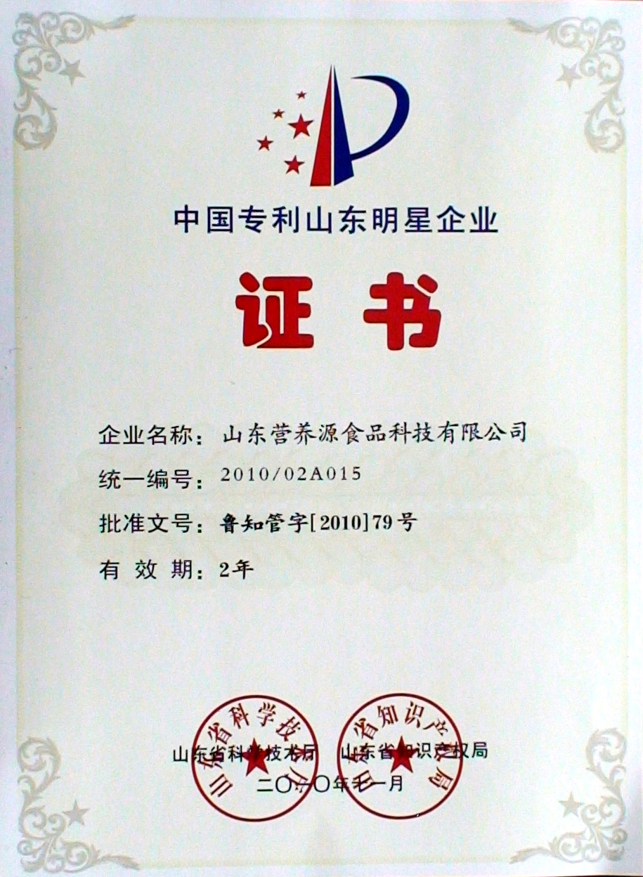 中國專利山東明星企業證書2011年